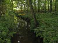 A1160 Strijbeek Hondsdonk Valkenberg 113 300 Meer GPS wandelingen kunt u vinden op  www.gpswalking.nl